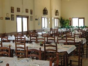 Restaurante del parque de aventuras en Deltebre, preparado para comuniones, cumpleaños y despedidas de soltero, con instalaciones cómodas y vistas a la naturaleza.