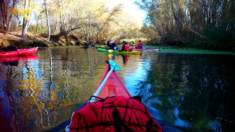 Personas navegando en kayak por el río Ebro durante una ruta guiada en el Delta del Ebro, rodeadas de naturaleza y aguas tranquilas