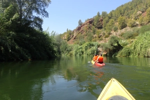 Ruta en kayak por la Illa de Gràcia en el Delta del Ebro